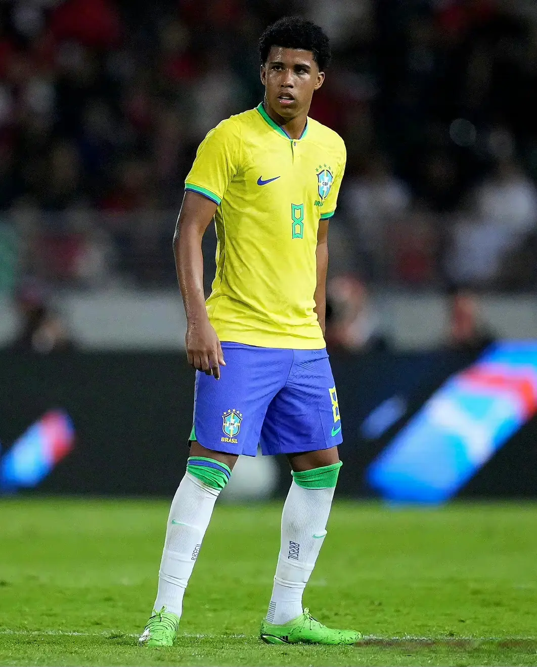 amp, 年后重返欧, 塞多和恩佐 amp, 年后重返欧, 塞多和恩佐