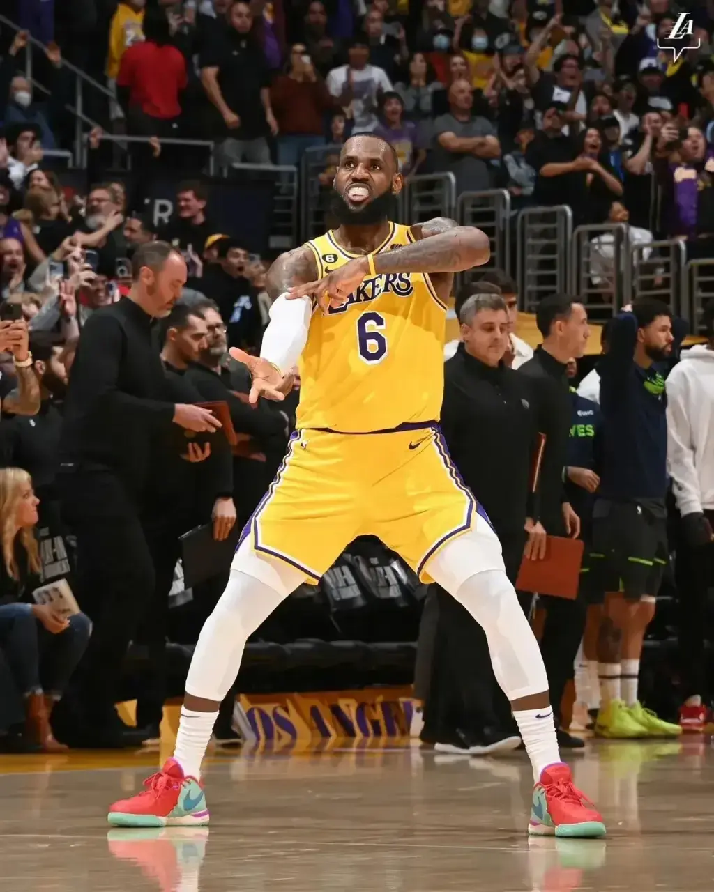 他的团队精, 王朝