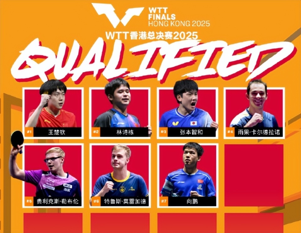 球迷中拥有, https, 总决赛的混